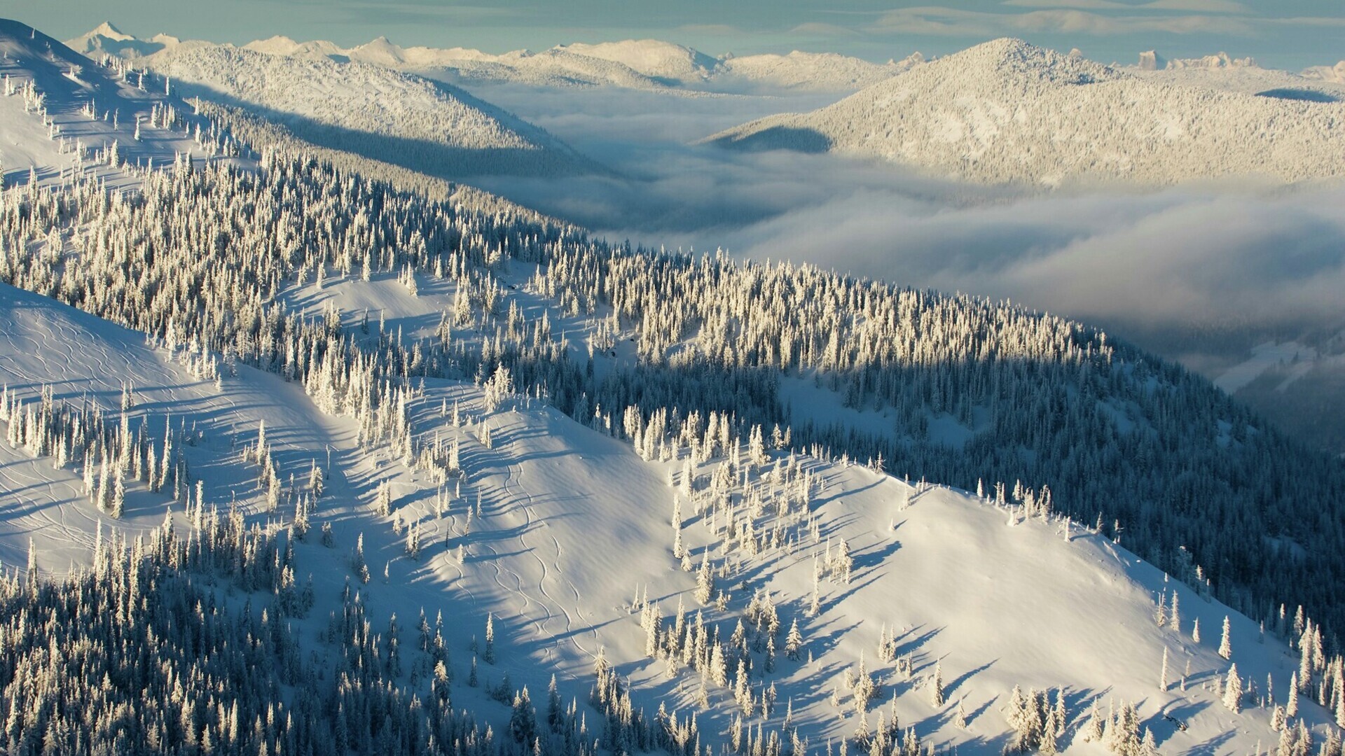 Header Image