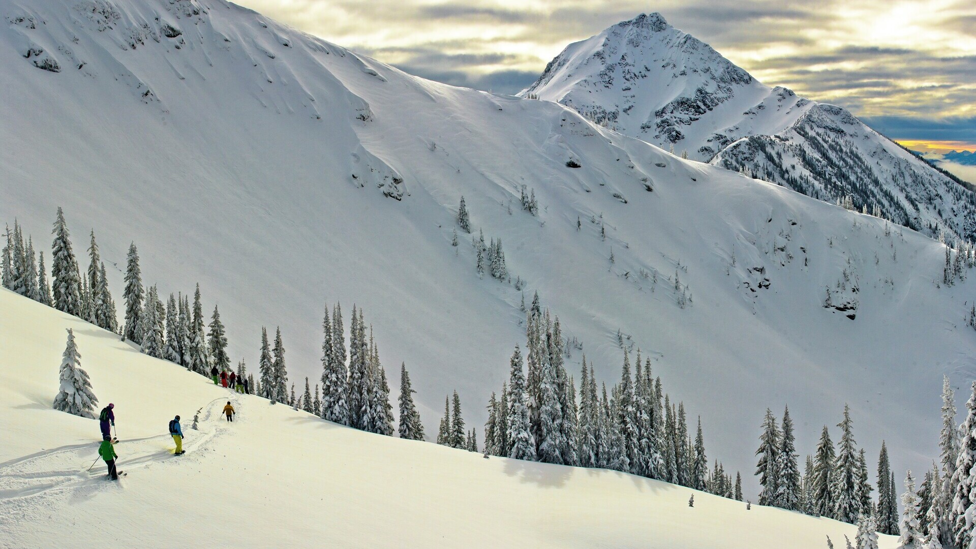 Header Image