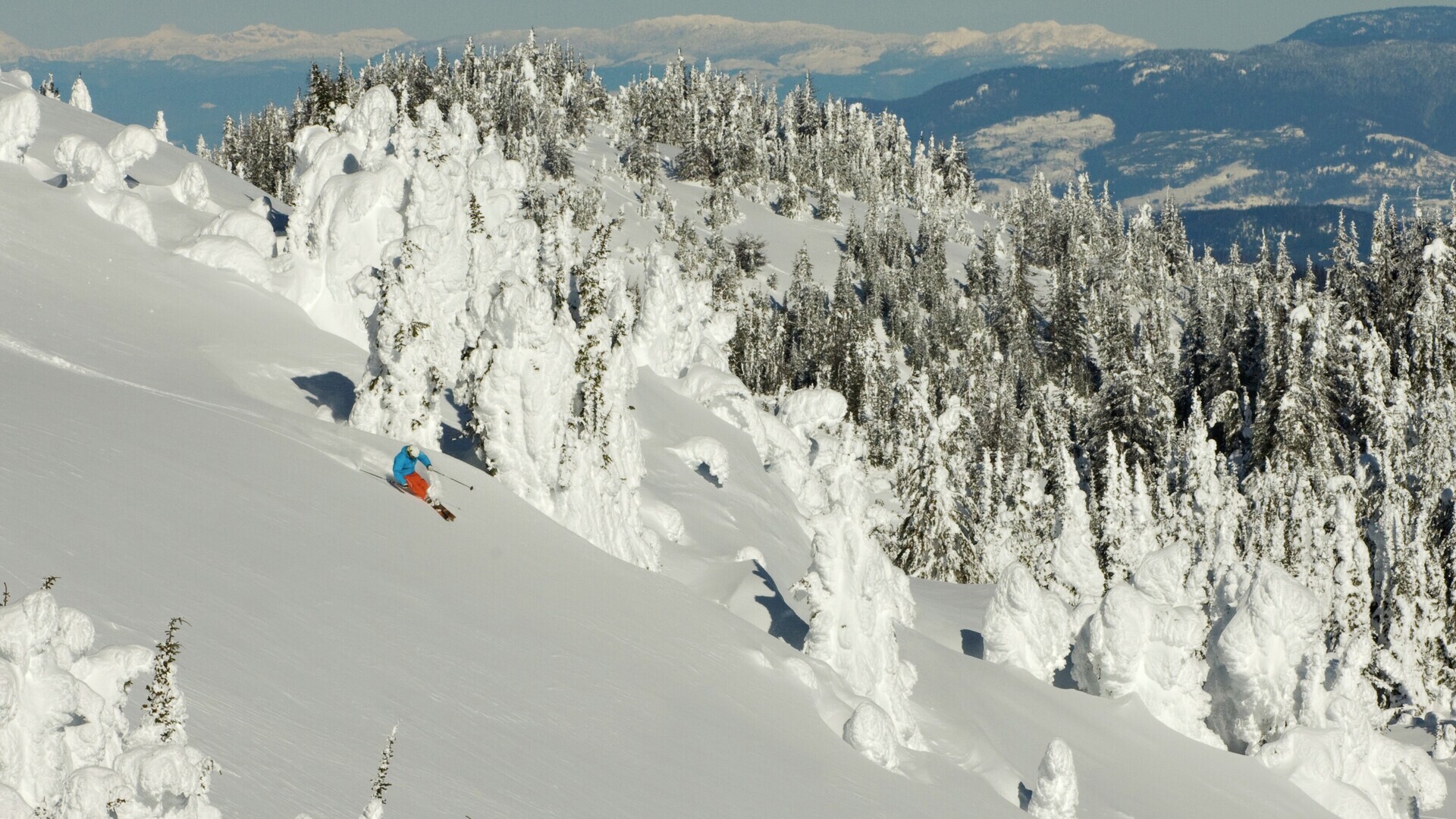 Header Image